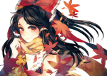 http://img94.xooimage.com/files/1/f/0/touhoufull1-3cfb0d2.png